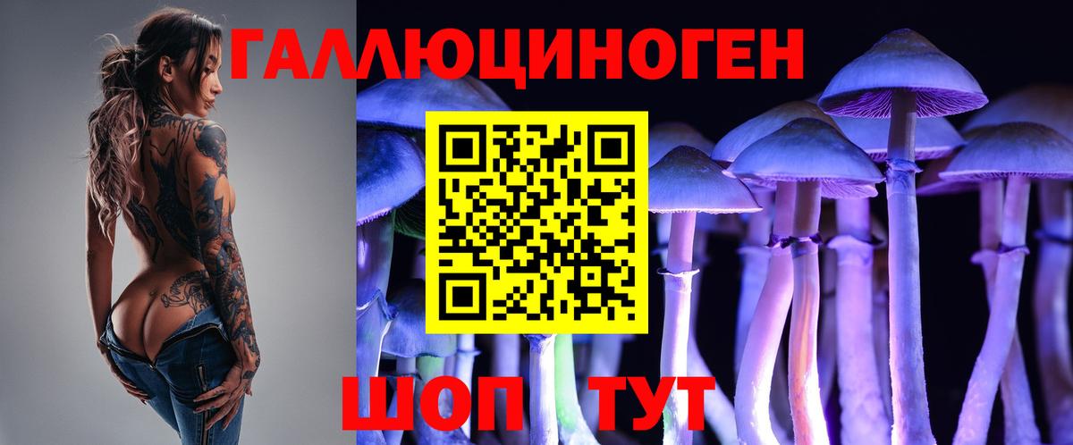 Галлюциногенные грибы Cubensis Югорск